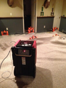 911 Restoration - Mold removal - Frederick carpet drying